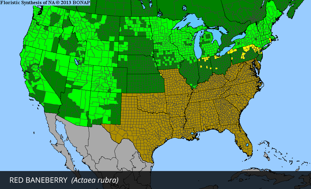 Range Map for Red Baneberry