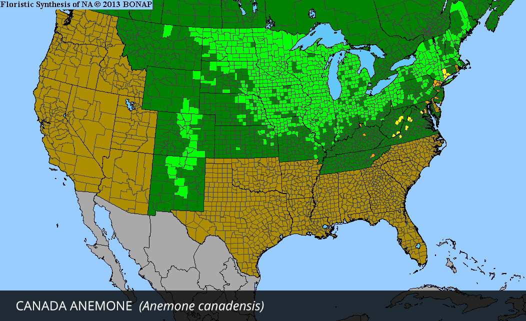 Range Map for Canada Anemone