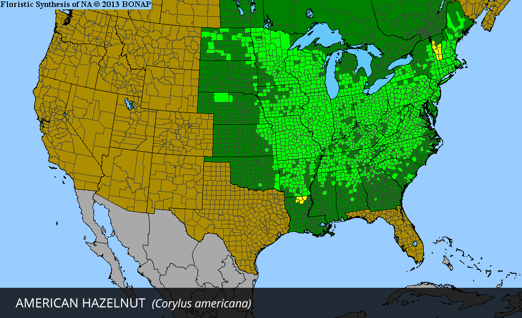 Range Map for American Hazelnut