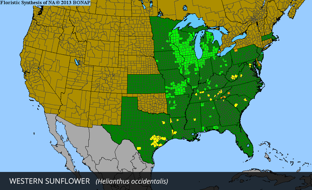 Range Map for Western Sunflower