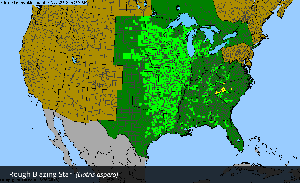 Range Map for Rough Blazing Star