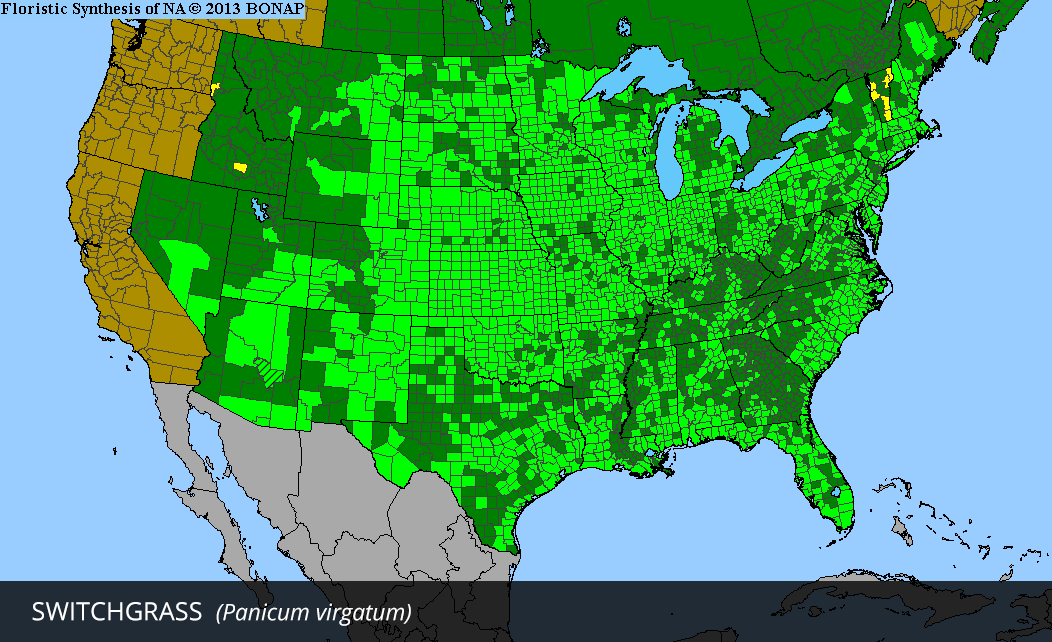 Range Map for Switchgrass