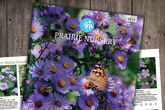 prairie nursery catalog